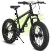 S20109 Kids' Bike 20 Inch Wheels Fat Tire Bike, 4" Wide Fat Tire Snow Mountain Bike Ages 8-12 Year Old, Steel Frame